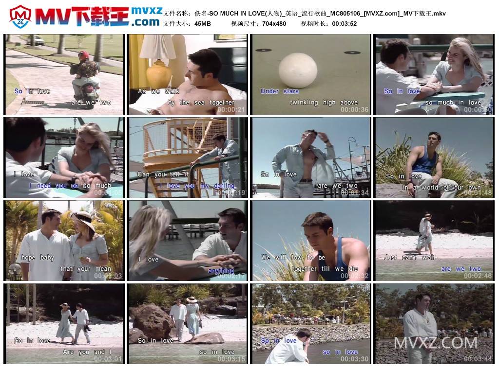 佚名-SO MUCH IN LOVE(人物)_英语_流行歌曲_MC805106